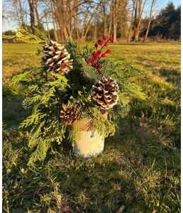 Christmas Décor (Collection)