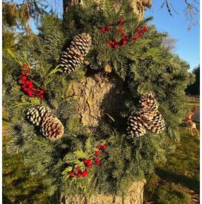 Christmas Wreath