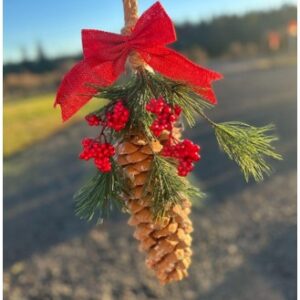 Sugar Pinecones