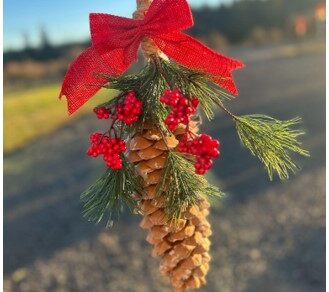 Sugar Pinecones